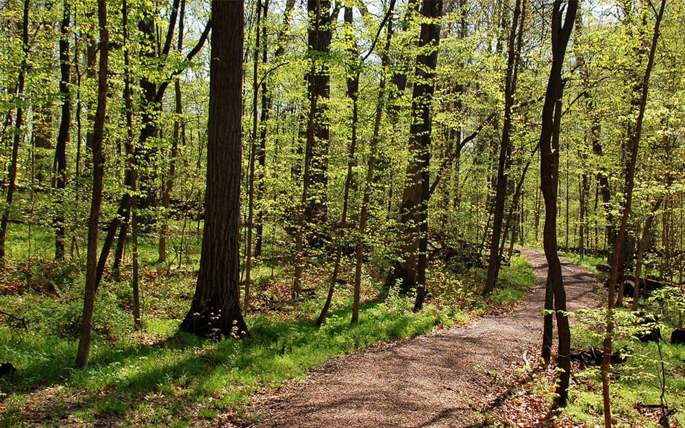 Lapham Peak State Park, WI